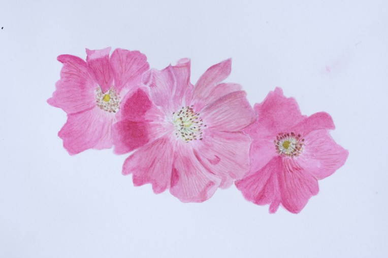 Three are definitely not a crowd!