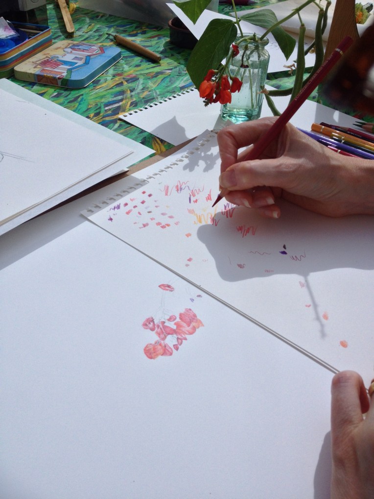 What flowers are these?