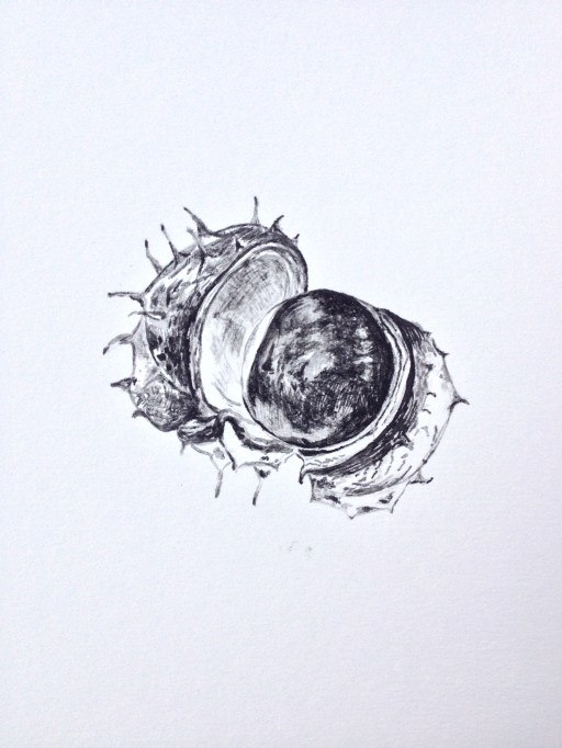 Horse Chestnut - or conker before getting bashed!