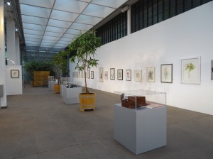 The long wall in the Palm house and vitrines down the centre containing the prizes mentioned on the SBA facebook page, jewellary  by Lesley Hall and Glassware by Jacqueline Allwood.