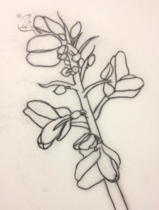 A tracing of a Gorse outline.