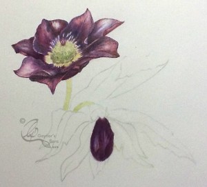 3.IMG_2297 - Version 2