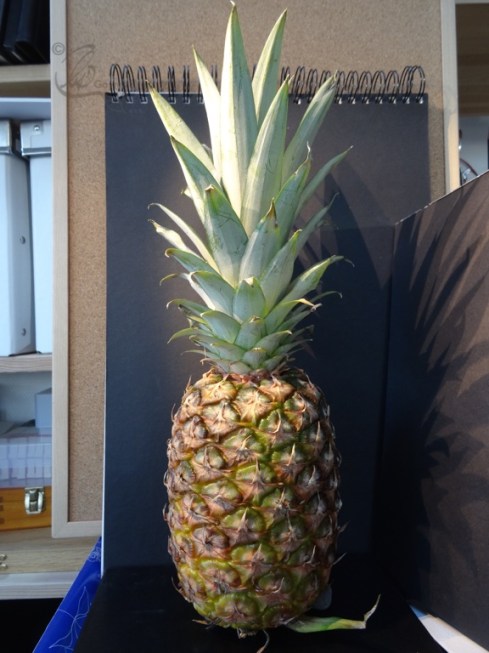 ©Pineapple01.DSC00726