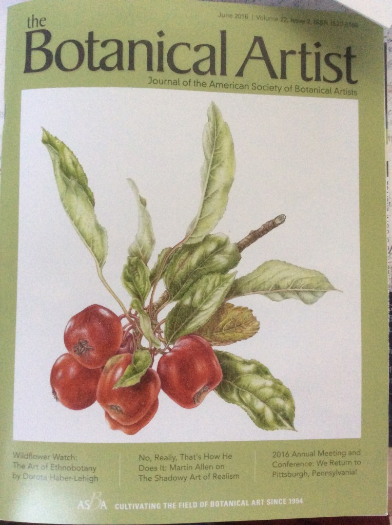 ASBA Botanical Artist quarterly magazine