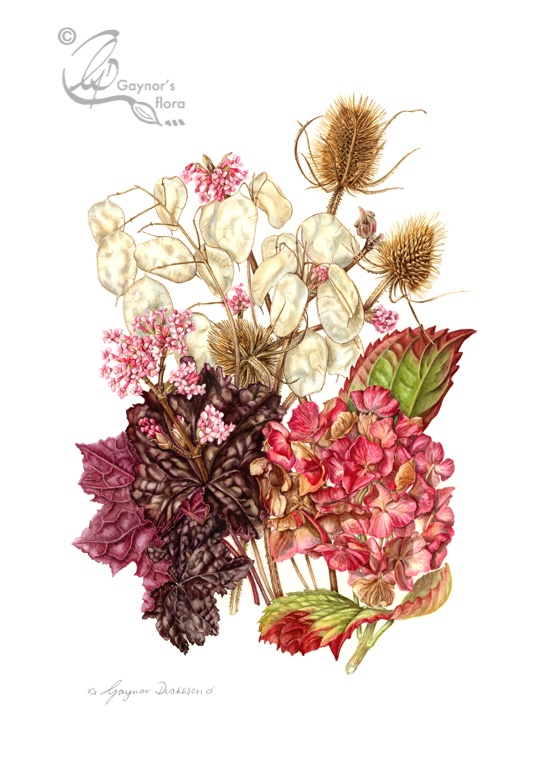 ‘Flowers from my Winter Garden’