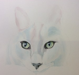 'Tigger', a Russian Blue in Pink, with green eyes! Watercolour.