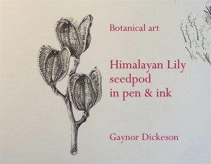 DCIM106GOPROGOPR1245.