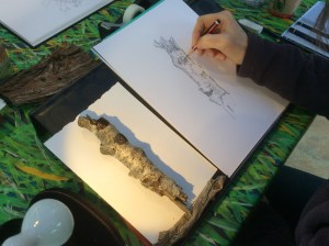 Broken piece of Birch