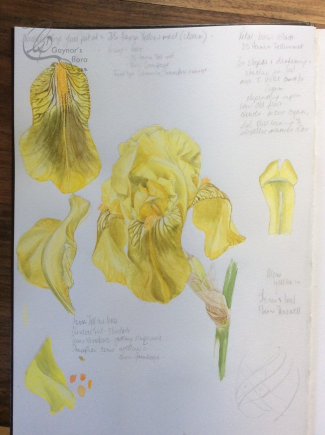 Benton Apollo sketch from cutting