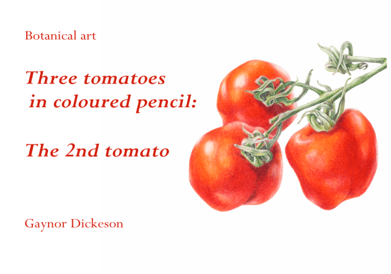 Three tomatoes-2nd tomato