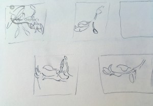 Magnolia soulageant buds